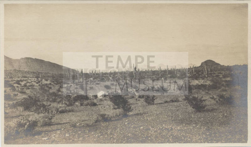 View of Tempe Desert Landscape