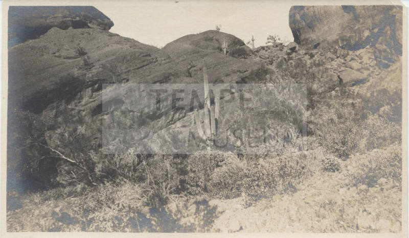 View of a Rock Hill in Desert Tempe