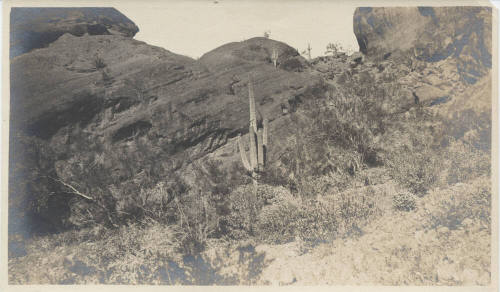 View of a Rock Hill in Desert Tempe
