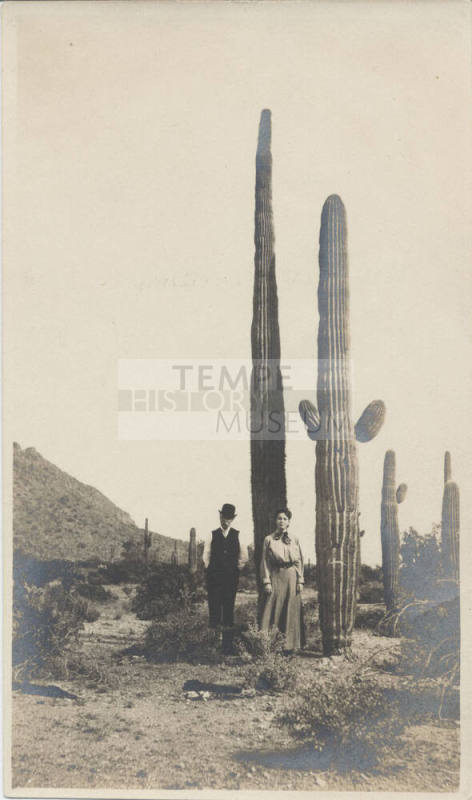 View of People Standing Near a Saguaro