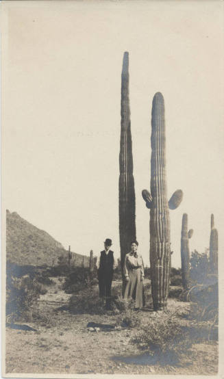 View of People Standing Near a Saguaro