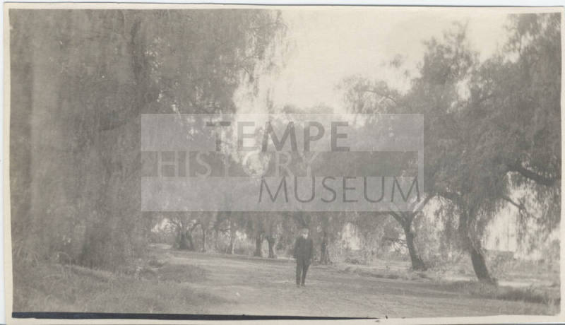 Man Standing in Road Surrounded by Trees
