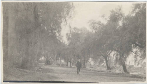 Man Standing in Road Surrounded by Trees