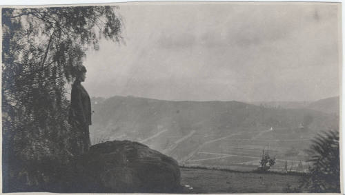 Woman Looking at Aerial View of Town