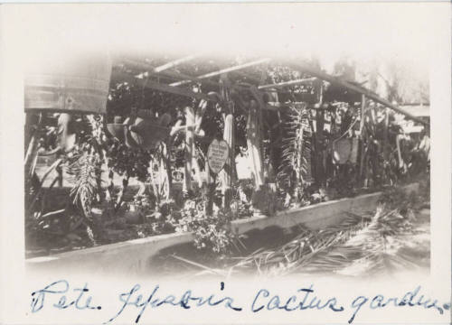 Photo of Pete Jepsons's Cactus Garden