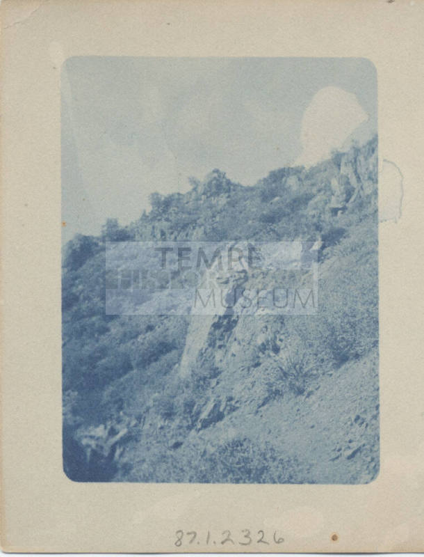 View of Arizona Desert Landscape