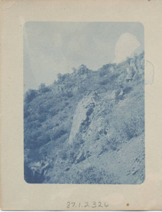 View of Arizona Desert Landscape