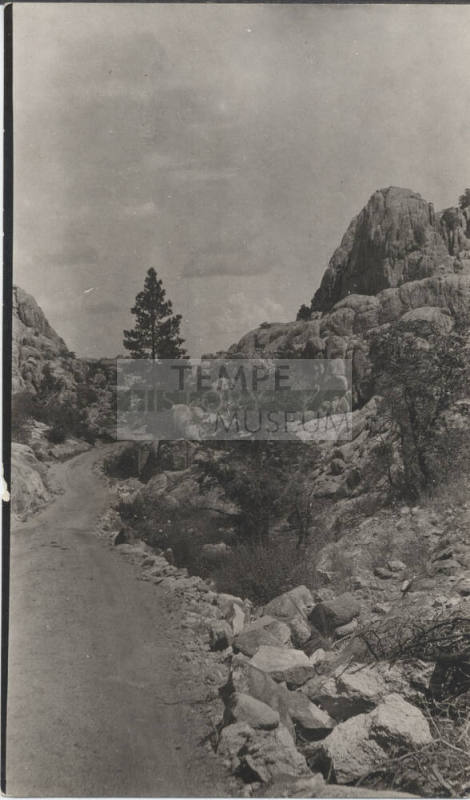 View of Trail of Lonesone Pine, AZ