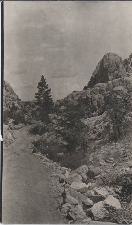 View of Trail of Lonesone Pine, AZ