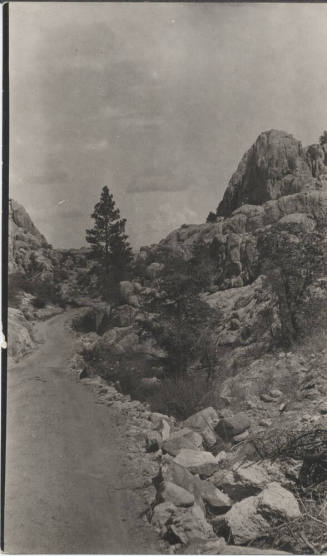 View of Trail of Lonesone Pine, AZ