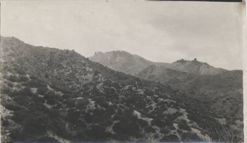 View of the Needles in Desert Landscape