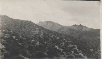 View of the Needles in Desert Landscape
