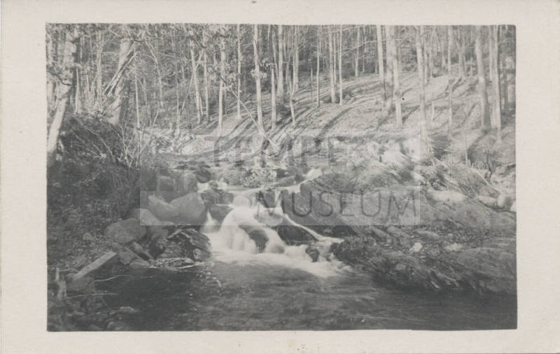 View of Waterfall, Shelburne, Mass