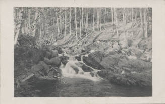 View of Waterfall, Shelburne, Mass