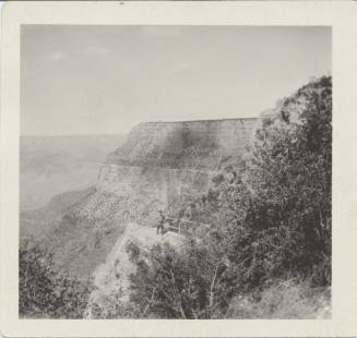 View of Grand Canyon in Arizona