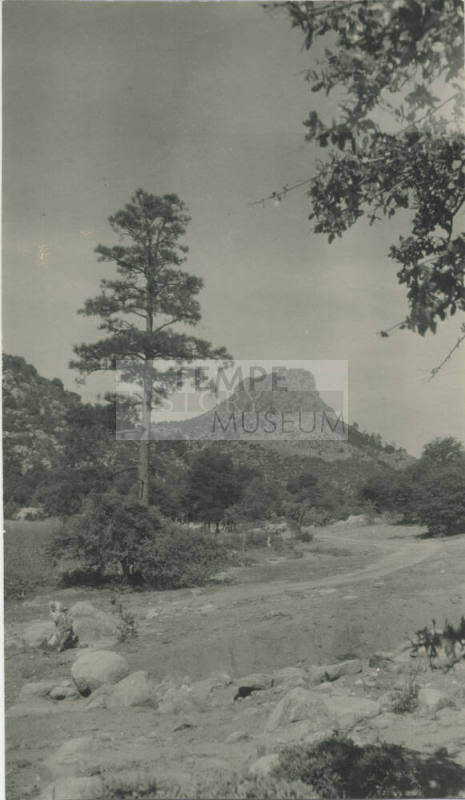 Landscape View of AZ Rough Contry