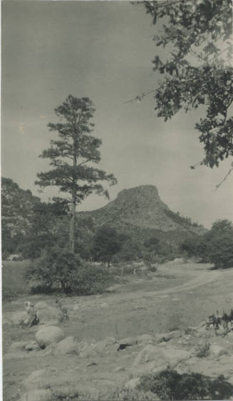 Landscape View of AZ Rough Contry