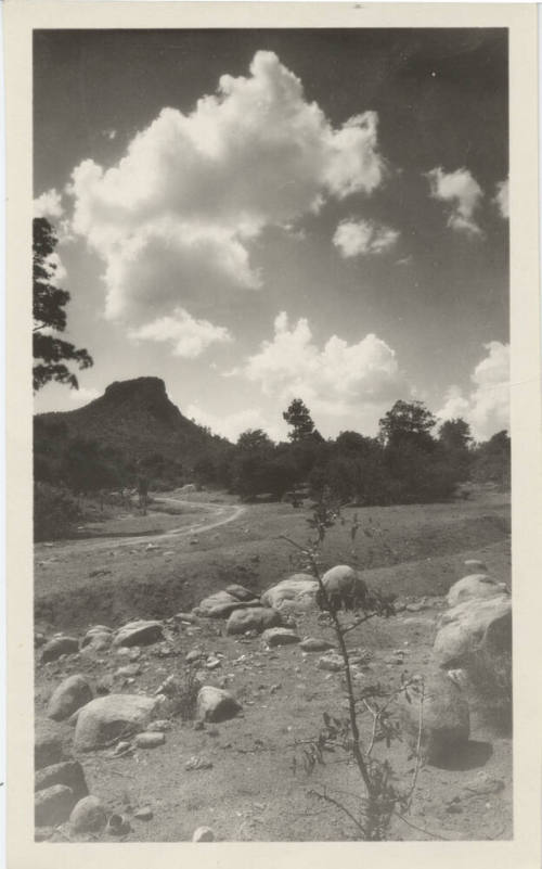 View of Arizona's Desert Landscape