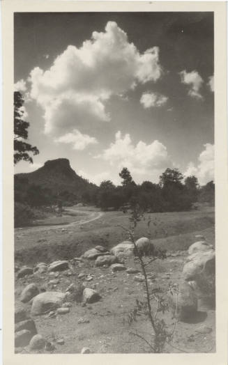 View of Arizona's Desert Landscape