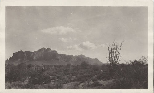 View of Arizona Desert Landscape - Superstition Mountain