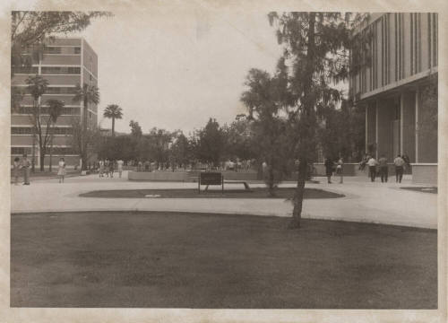 Photograph, Arizona State University Campus, Nursing Building