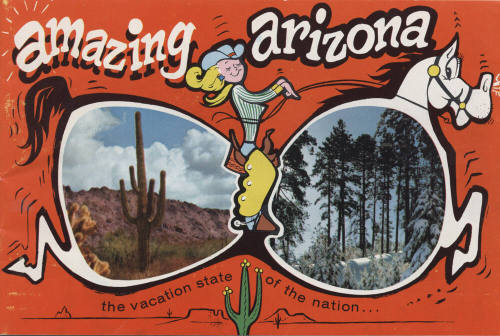 "Amazing Arizona..the vacation state of the nation"