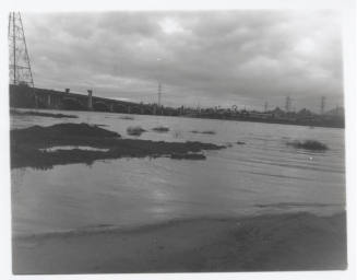 The flooded Salt River