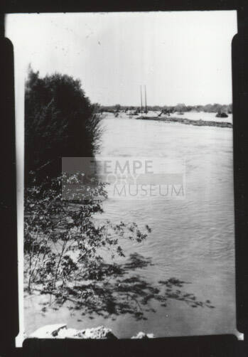 river with shrubs