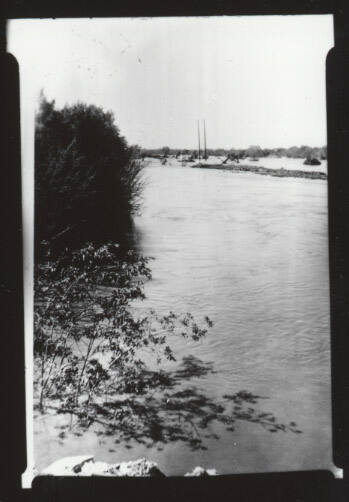 river with shrubs