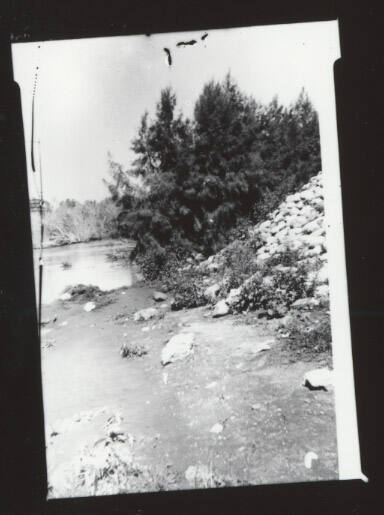 Rocky embankment and large tree CR, river distantly