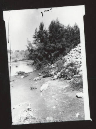 Rocky embankment and large tree CR, river distantly