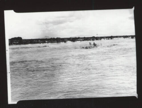 Wide view of river, trees in distance