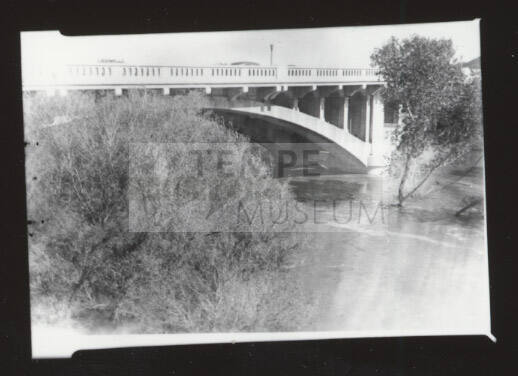 Mill Avenue bridge with shrub in foreground
