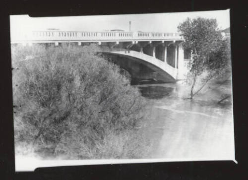 Mill Avenue bridge with shrub in foreground