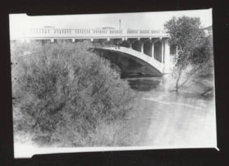Mill Avenue bridge with shrub in foreground