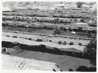 McElhaney Cattle Company, Tempe