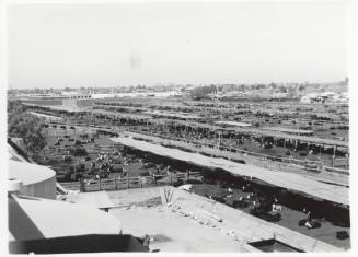 McElhaney Cattle Company, Tempe