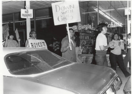 United Farm Worker's Gallo wine protest at Hayden Plaza