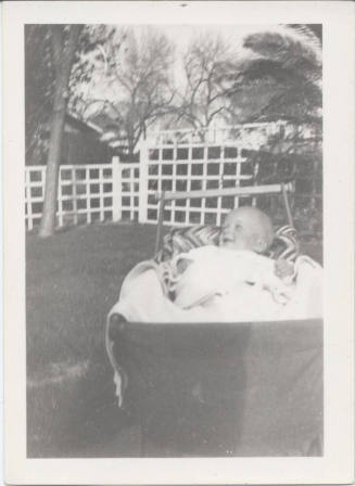 Photograph of Paul Enders in Carriage