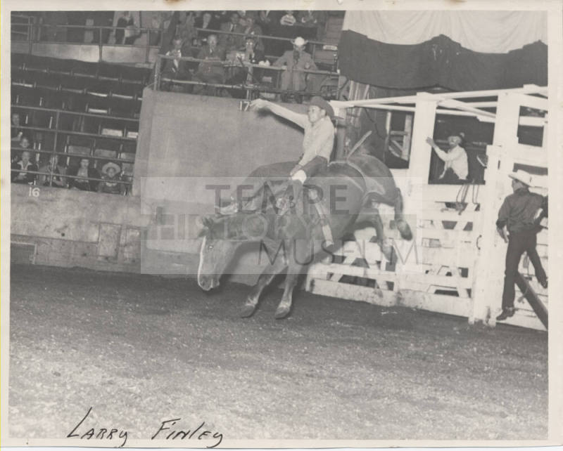 Larry Finley Riding Bareback, Rodeo