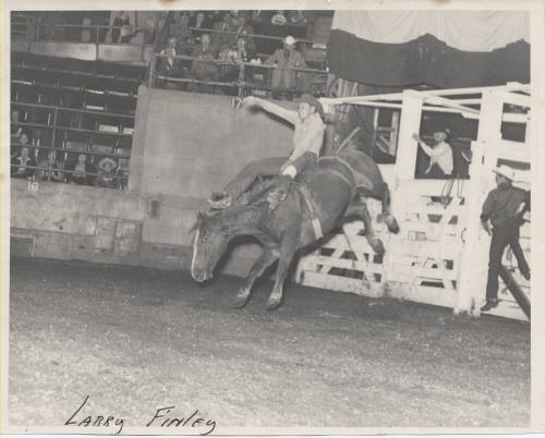 Larry Finley Riding Bareback, Rodeo