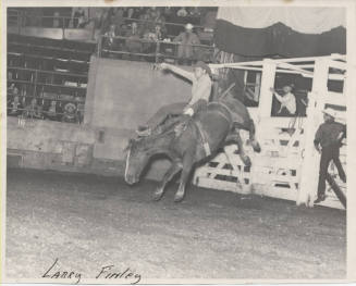 Larry Finley Riding Bareback, Rodeo