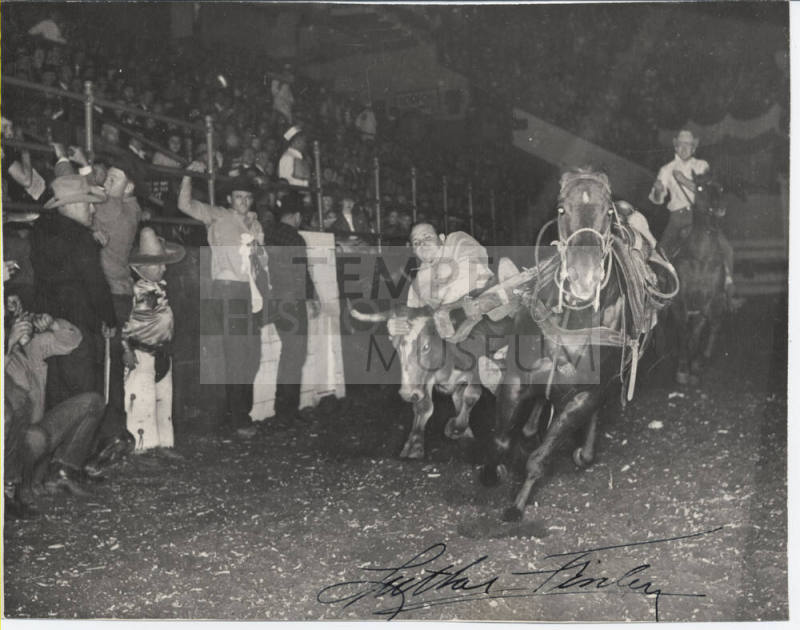Luther Finley Bulldogging Action at a Rodeo