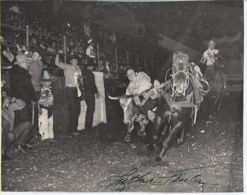 Luther Finley Bulldogging Action at a Rodeo
