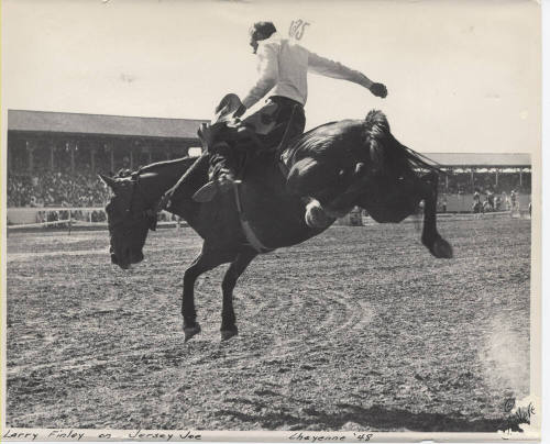 Larry Finley on Jersey Joe in Cheyenne