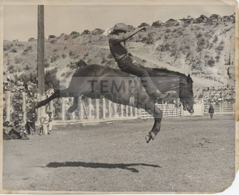 Bareback Riding