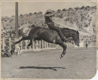 Bareback Riding
