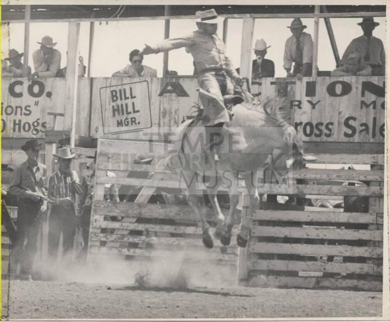 Rider on a Bucking Horse