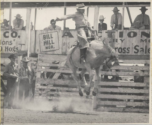 Rider on a Bucking Horse