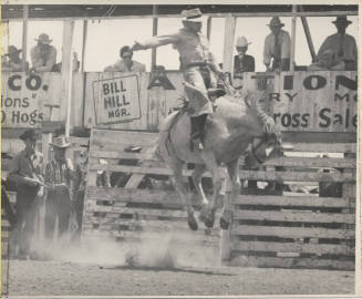 Rider on a Bucking Horse
